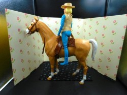 jane west horse good side